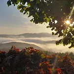 Lantgård Quinta Alto Da Fraga Vila Nova de Fozcoa