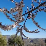 Lantgård Quinta Alto Da Fraga