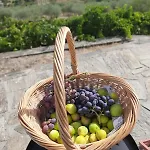 Quinta Alto Da Fraga *