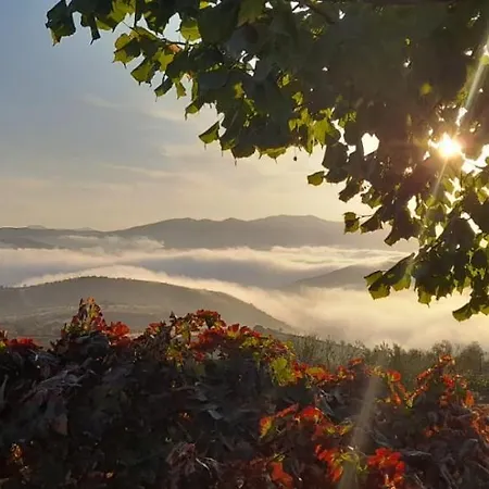 Alloggio per agriturismo Quinta Alto Da Fraga Vila Nova de Foz Coa