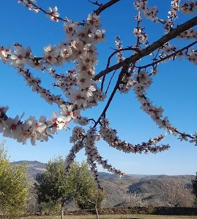 مزرعة للإقامة Quinta Alto Da Fraga