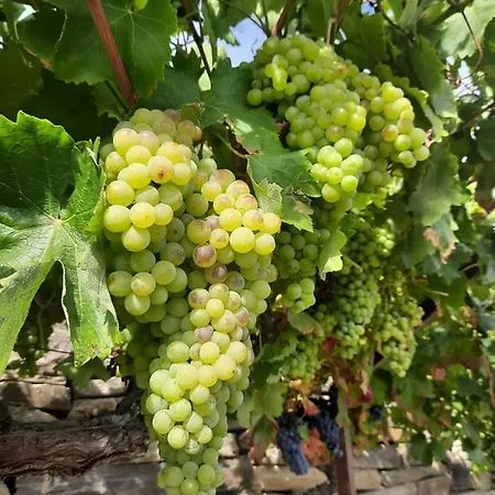 Quinta Alto Da Fraga *