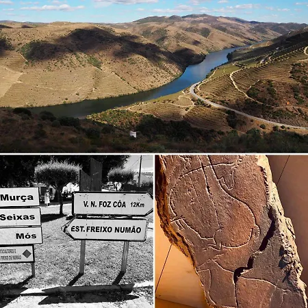 Quinta Alto Da Fraga * فيلا نوفا دي فوز كوا