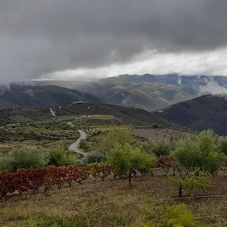 Quinta Alto Da Fraga Bauernhof