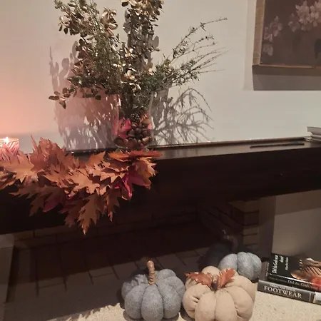 Quinta Alto Da Fraga * فيلا نوفا دي فوز كوا