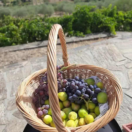 Quinta Alto Da Fraga *