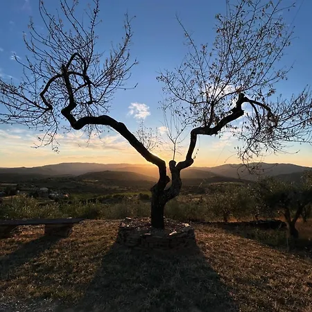 Quinta Alto Da Fraga Alloggio per agriturismo Vila Nova de Foz Coa