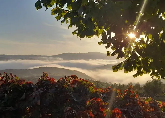 农家乐 Quinta Alto Da Fraga 福什科阿新镇