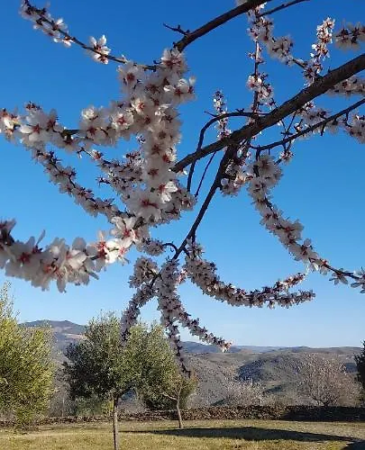 农家乐 Quinta Alto Da Fraga