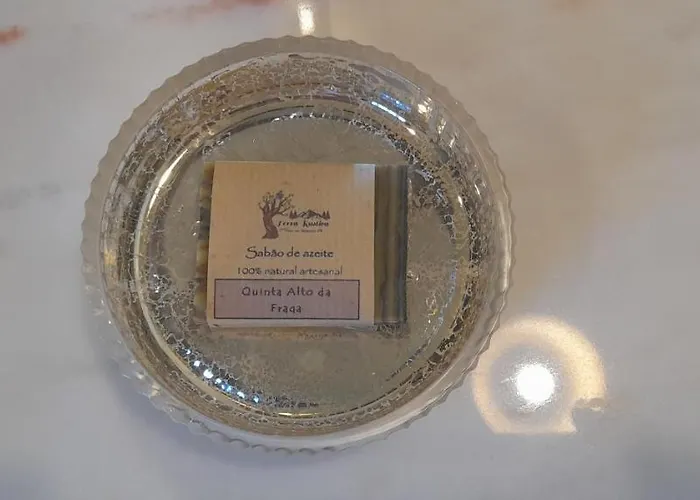 农家乐 Quinta Alto Da Fraga 福什科阿新镇