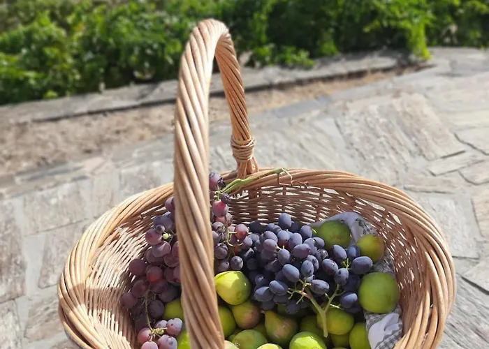 Quinta Alto Da Fraga *